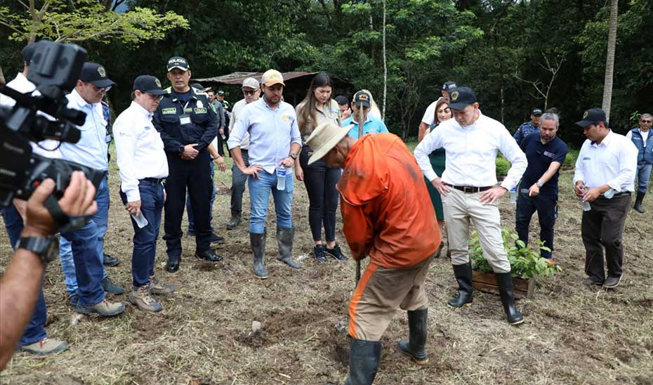 Impulso al Programa de Reforestación en la Colonia Agrícola de Acacías: Una Iniciativa de Resocialización y Medio Ambiente