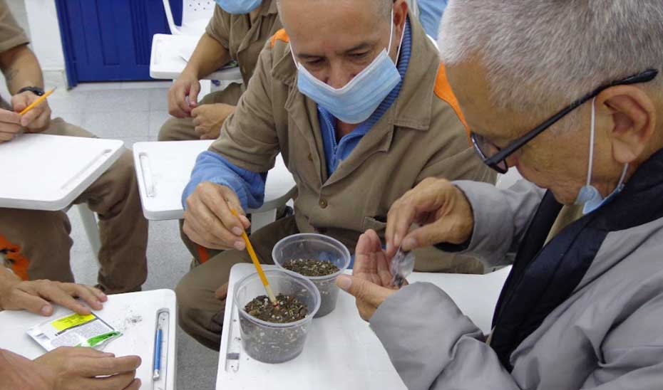 Proyecto ambiental 'Semillitas de Vida' promueve la esperanza y el cuidado en el Establecimiento Penitenciario de La Ceja